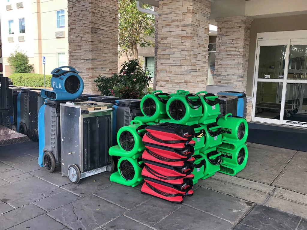 Equipment for carpet repair