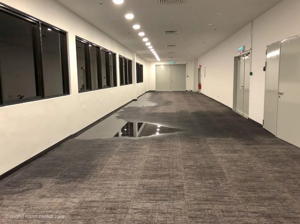Water damaged carpet