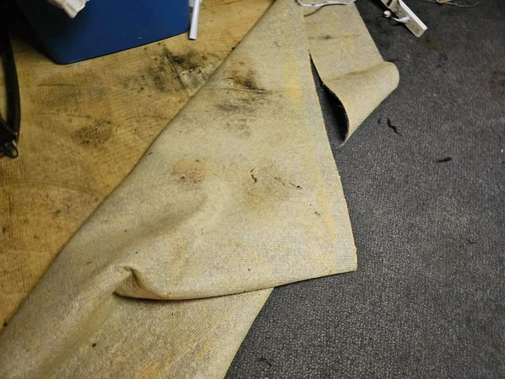 Water damaged carpet