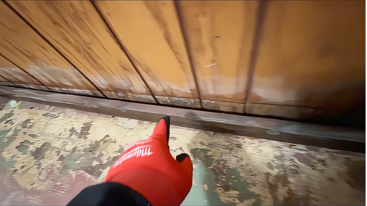 Professional mold damage inspection inside a residential property in Rockford IL