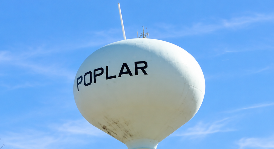 Poplar Grove